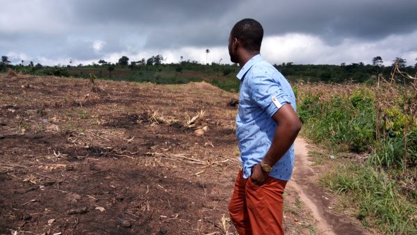 Site Viewing