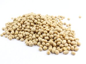 Soybean