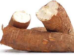 Cassava