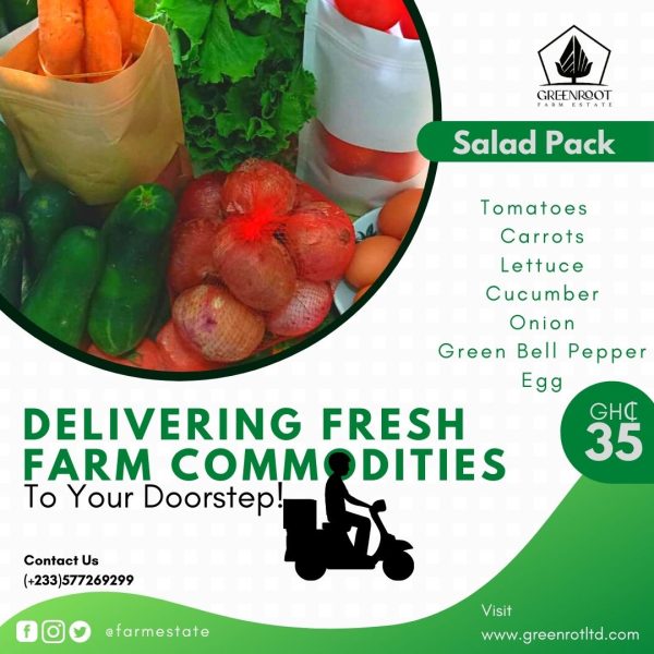 Salad Pack
