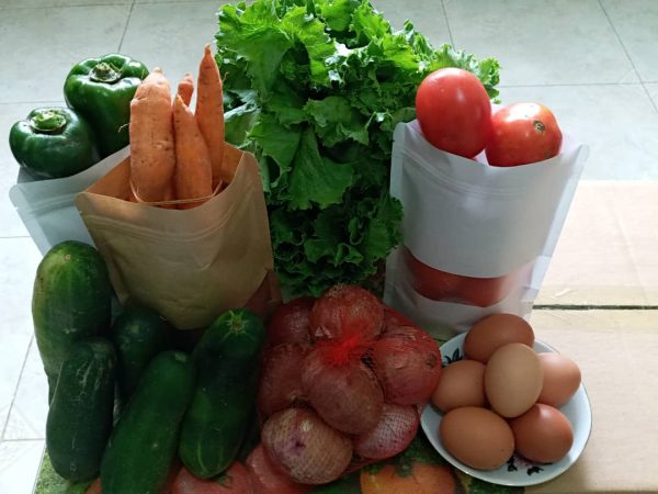 Salad Pack - Image 2