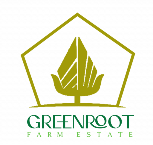 cropped-cropped-cropped-GREENROOT-2-1.png