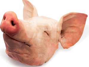 Pork Head